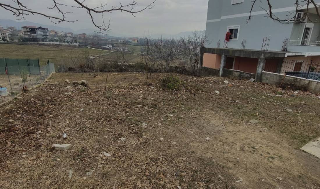 Foto 3