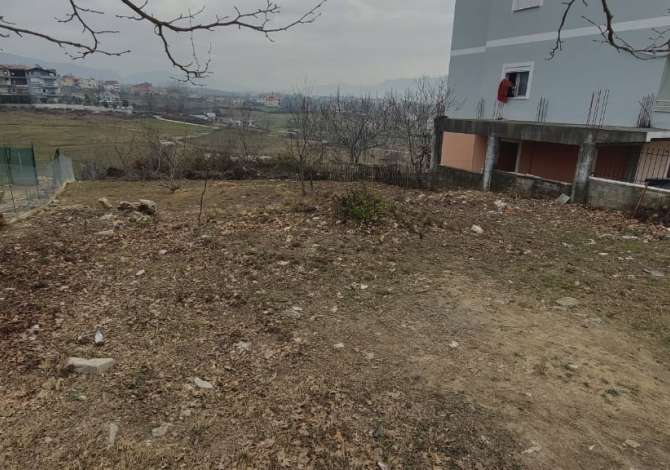 Truall ose Toke ne Tirane - 50,000 Euro
