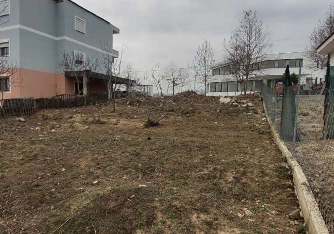 Truall ose Toke ne Tirane - 50,000 Euro