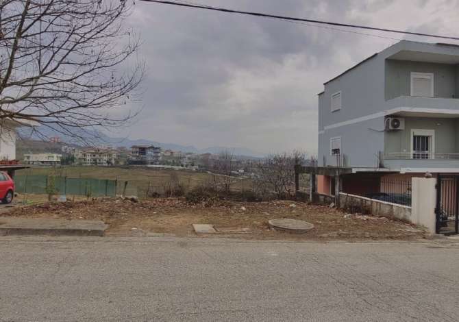 Truall ose Toke ne Tirane - 50,000 Euro