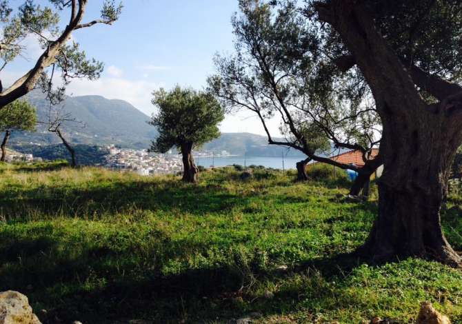 Truall ose Toke  ne Vlore - 100,000 Euro
