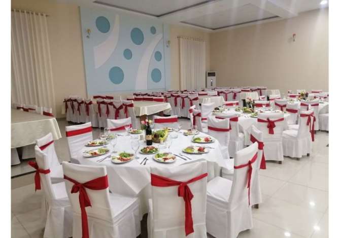 Holiday arrangements  in Tirana - 0 