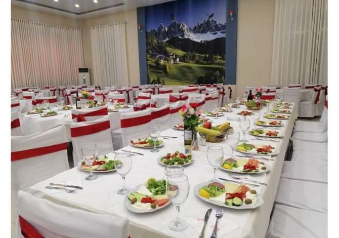 Holiday arrangements  in Tirana - 0 