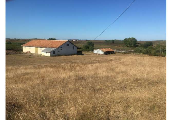 Shitet stalle 290 m2 ne Liqenin e Boces, Durres se bashku me truallin dhe token prej 7 dynym 