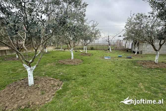 Shtepi ne shitje Vila Luksoze ne Lushnje, 2+1, Mobilimi E mobiluar, Pagesa 150,000  Euro.