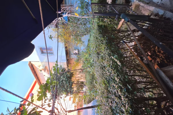 Shtepi ne shitje Apartament ne Lushnje, 1+1, Mobilimi E mobiluar, Pagesa 140,000  Euro.