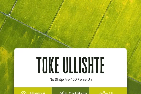 Truall ose Toke  ne Lushnje - 150,000 Euro
