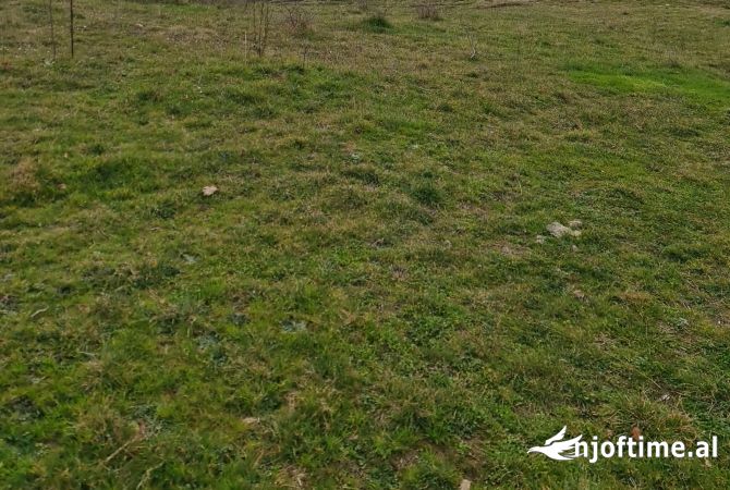 Truall ose Toke  ne Tirane - 170,000 Euro