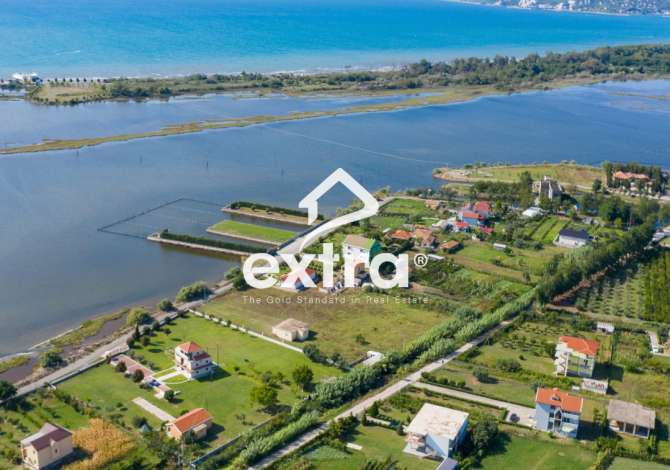 Shitet Toka, Shengjin, Lezhe