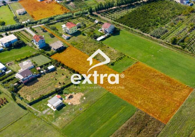 Terreno in vendita  a Alessio - 200,000 Euro