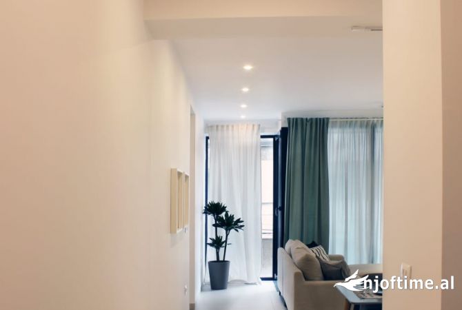 Shtepi me qera Apartament ne Tirane, 1+1, Mobilimi E mobiluar, Pagesa 650  Euro.