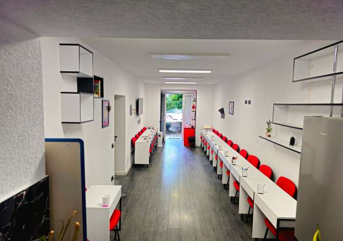 Ambient biznesi me qera 3+1 ne Tirane - 800 Euro