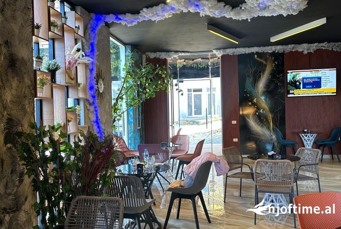 Ambient biznesi ne shitje 2+1 ne Tirane - 235,000 Euro