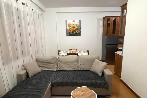 Shtepi me qera Apartament ne Tirane, 1+1, Mobilimi E mobiluar, Pagesa 600  Euro.