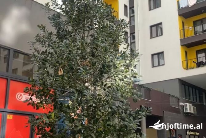 Shtepi ne shitje 2+1 ne Tirane - 129,000 Euro