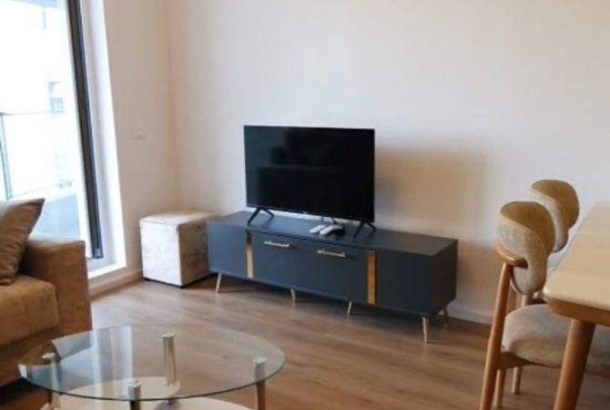 Shtepi me qera Apartament ne Tirane, 1+1, Mobilimi E mobiluar, Pagesa 450  Euro.