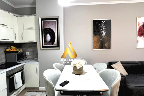Apartment for rent in Tirana 1+1, Furnished