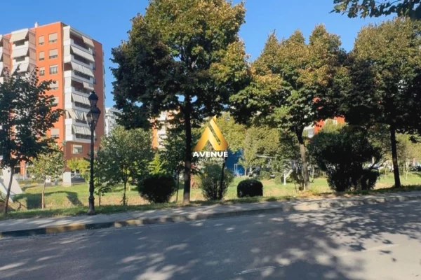 Business Property for Rent 1+1 in Tirana - 700 Euro