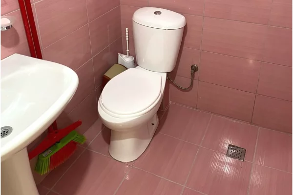 Shtepi me qera Shtepi Private ne Tirane, Garsoniere, Mobilimi E mobiluar, Pagesa 260  Euro.