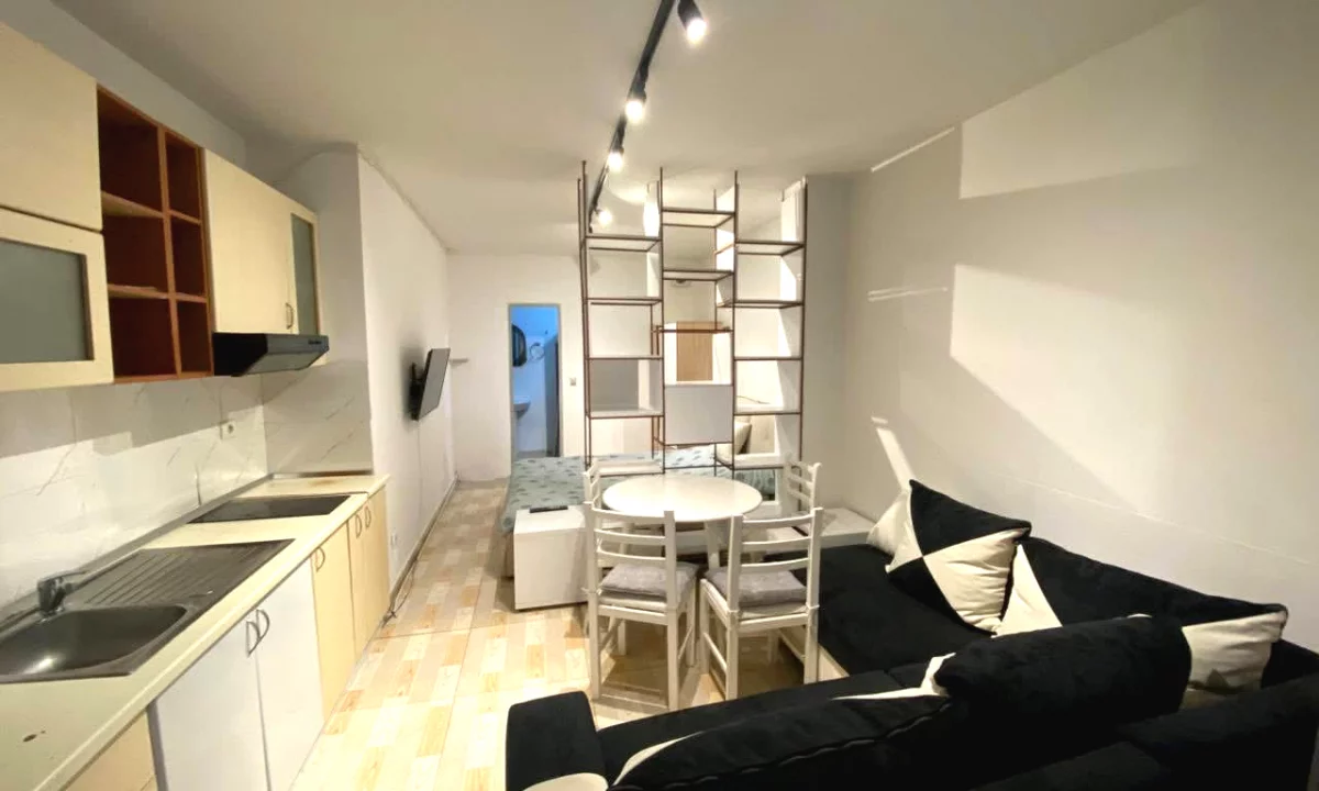 Shtepi me qera Apartament ne Tirane, Garsoniere, Mobilimi E mobiluar, Pagesa 250  Euro.