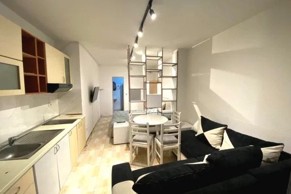 Shtepi me qera Shtepi Private ne Tirane, Garsoniere, Mobilimi E mobiluar, Pagesa 250  Euro.