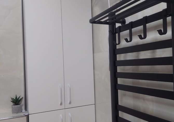 Ambient biznesi me qera 3+1 ne Tirane - 1,000 Euro