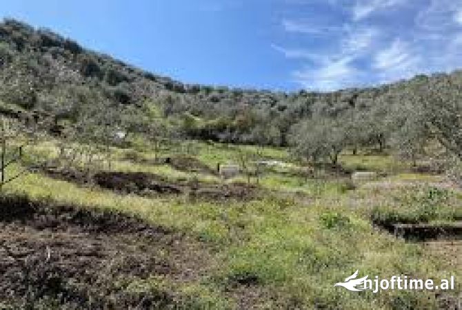 Truall ose Toke ne Tirane - 1,160,000 Euro