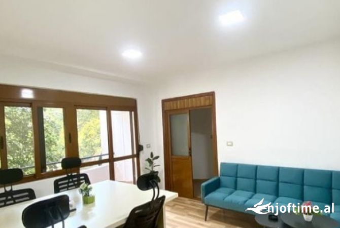 Ambient biznesi me qera 3+1 ne Tirane - 900 Euro