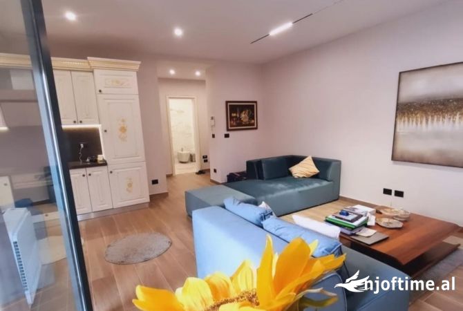 Shtepi ne shitje Apartament ne Tirane, 1+1, Mobilimi E mobiluar, Pagesa 180,000  Euro.