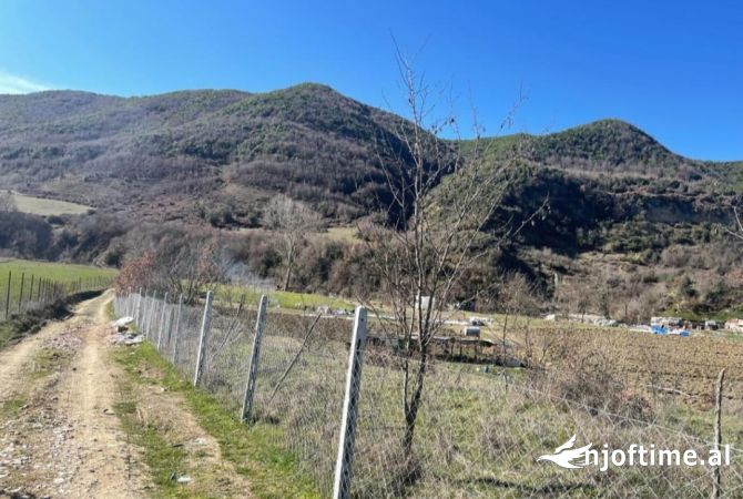 Terreno in vendita  a Tirana - 650,000 Euro