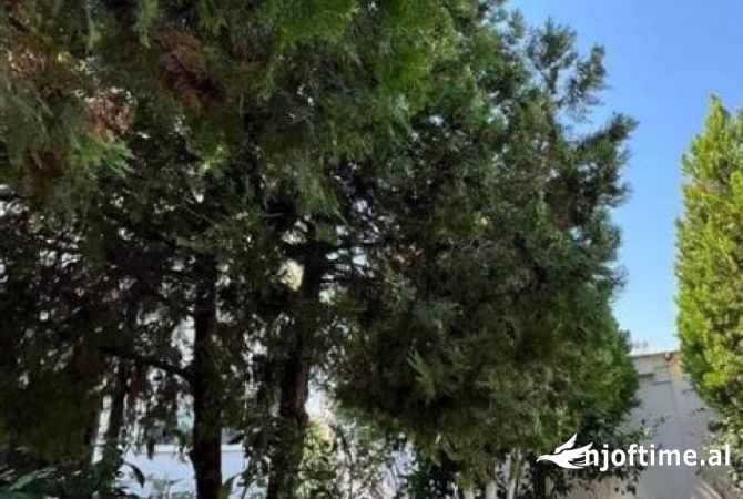 Shtepi ne shitje 3+1 ne Tirane - 195,000 Euro