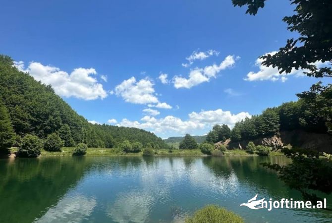 Land for Sale  in Tirana - 175,000 Euro