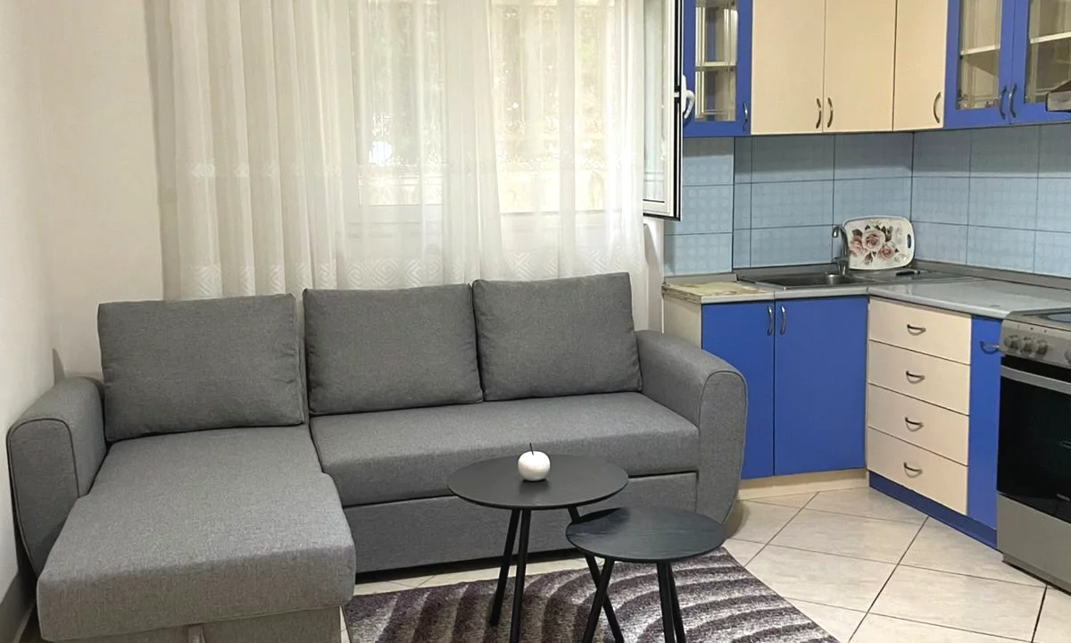 Shtepi me qera Apartament ne Tirane, 1+1, Mobilimi E mobiluar, Pagesa 400  Euro.