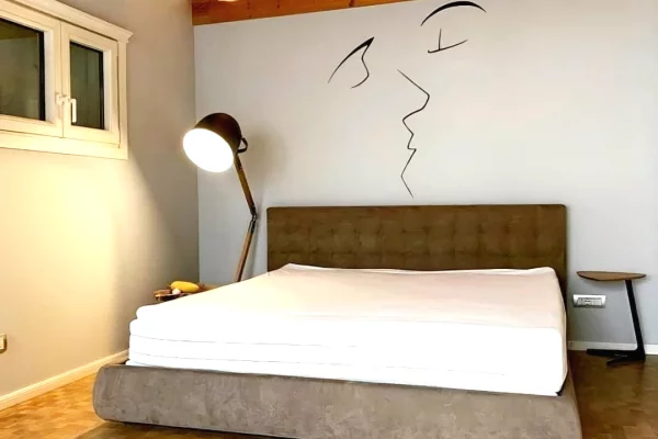 Duplex (2 storey house) for rent in Tirana 1+1, Furnished