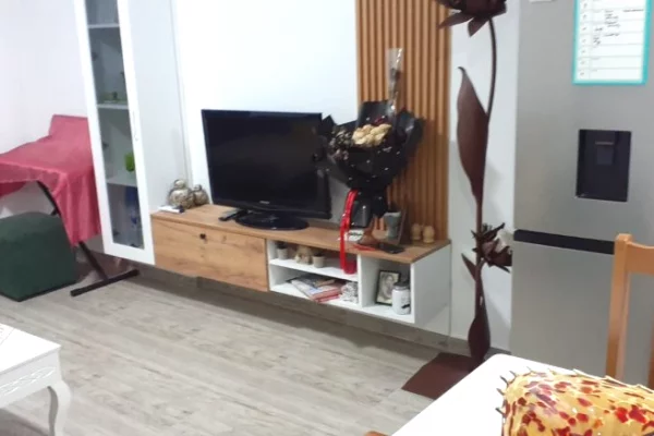 Apartment for rent in Tirana 1+1, Furnished