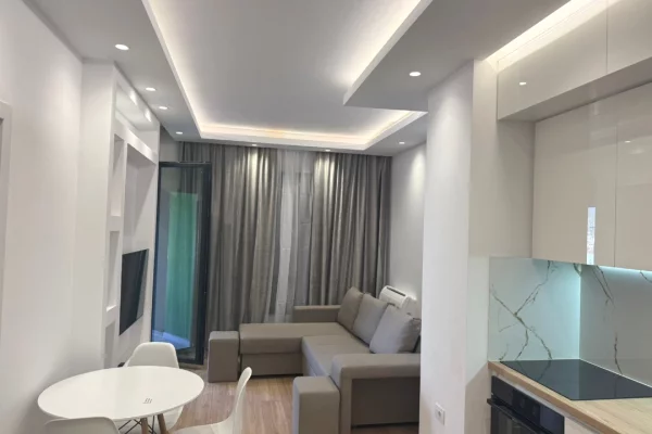 House for Rent 1+1 in Tirana - 50,000 Leke