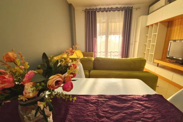 Apartment for rent in Tirana 2+1, Furnished
