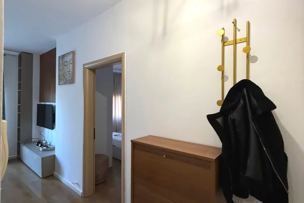 Appartamento in affitto a Tirana 1+1, Arredato