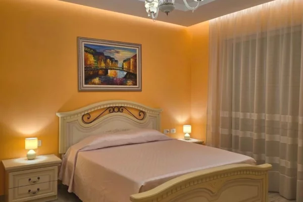 Appartamento in affitto a Tirana 1+1, Arredato