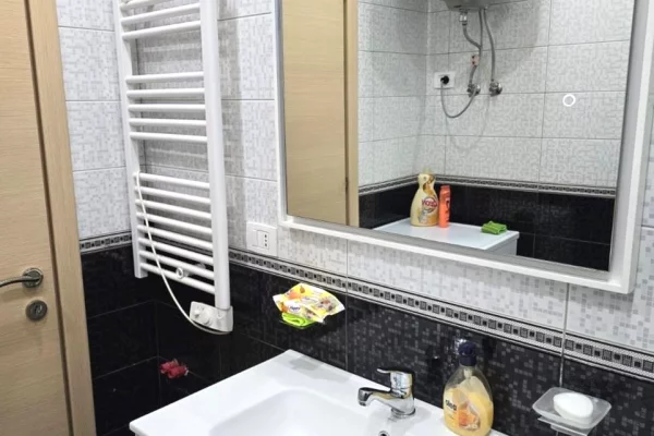 Appartamento in affitto a Tirana 1+1, Arredato