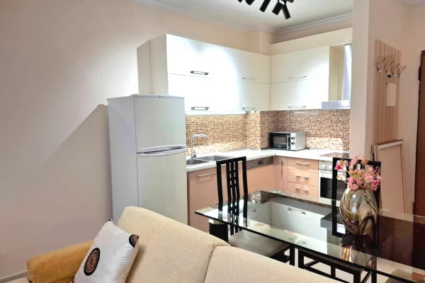 Apartment for rent in Tirana 1+1, Furnished