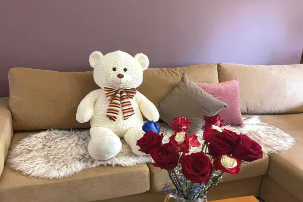 APARTAMENT ME QIRA 1+1+BALLKON- AIR ALBANIA