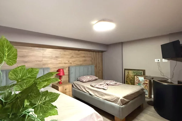 Shtepi ne shitje Duplex(shtepi me 2 kate) ne Tirane, 1+1, Mobilimi E mobiluar, Pagesa 99,000  Euro.