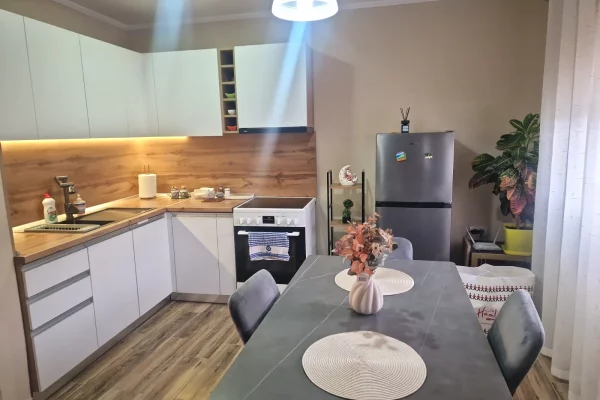 Shtepi me qera Apartament ne Tirane, 1+1, Mobilimi E mobiluar, Pagesa 500  Euro.