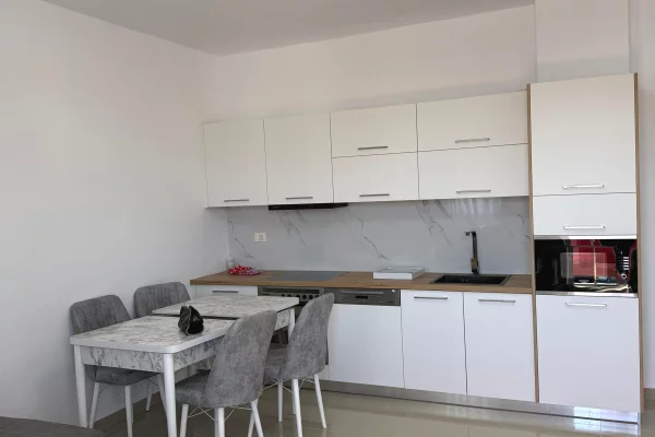Apartment for rent in Tirana 1+1, Furnished