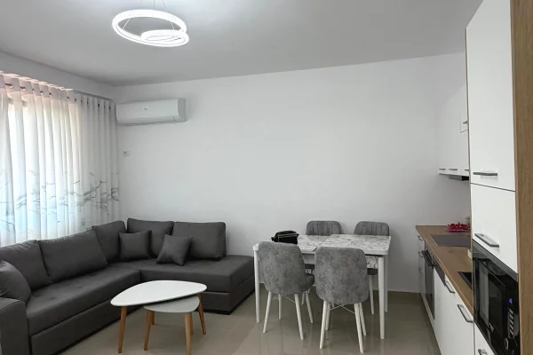 House for Rent 1+1 in Tirana - 48,000 Leke