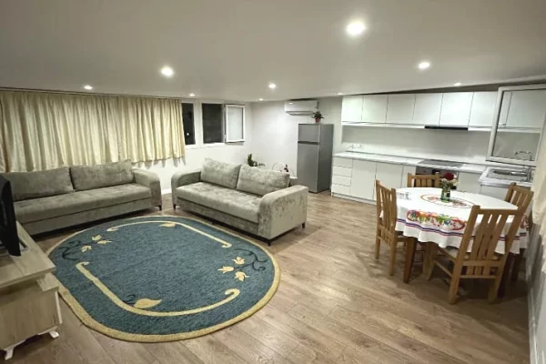 Shtepi me qera Apartament ne Tirane, 1+1, Mobilimi E mobiluar, Pagesa 40,000  Leke.