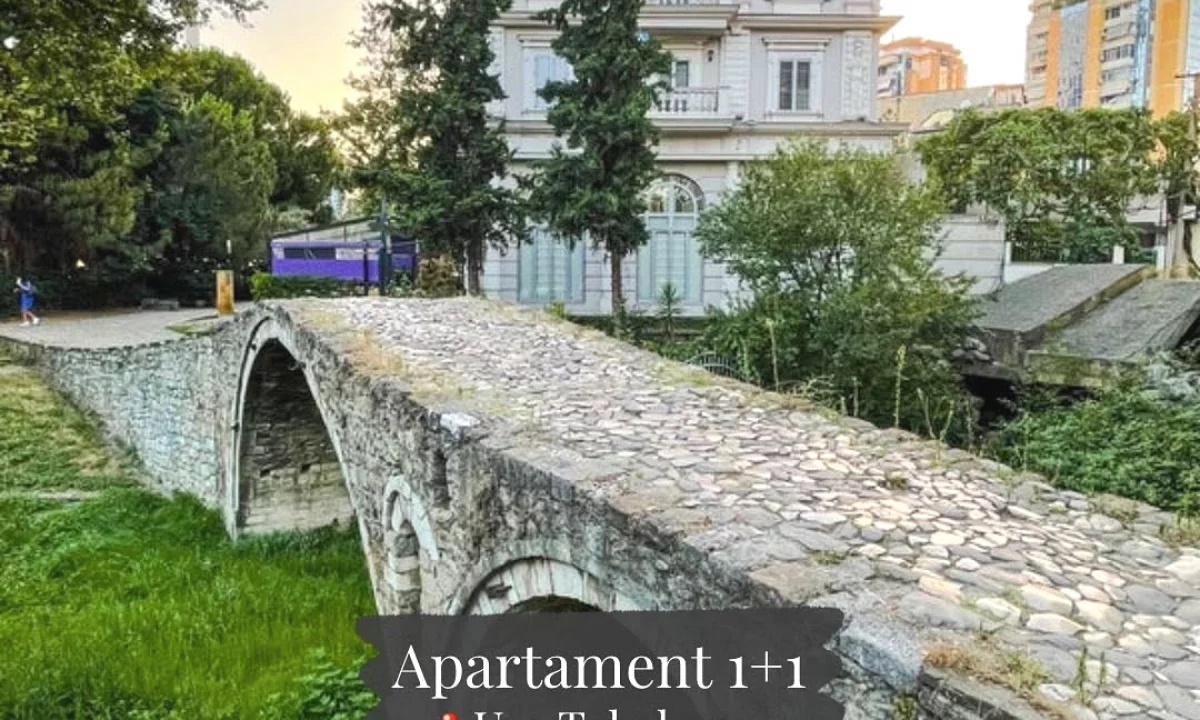 Apartment for rent in Tirana 1+1, Furnished