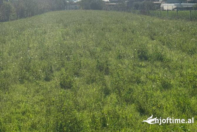 Truall ose Toke ne Tirane - 260,000 Euro