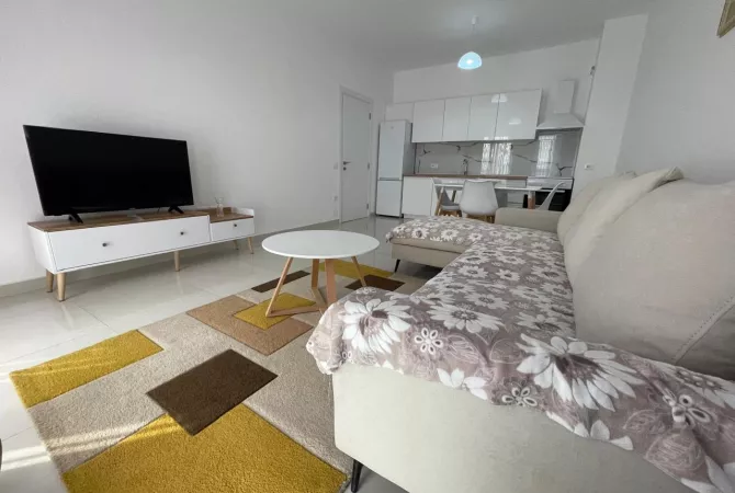House for Rent 1+1 in Tirana - 450 Euro